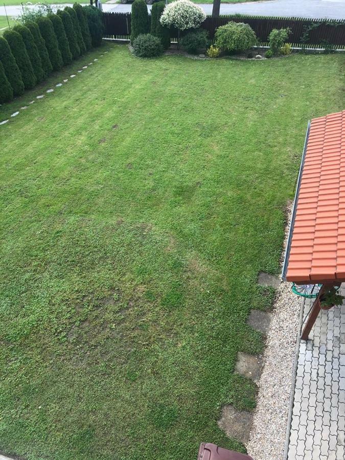 Ladislav Daire Spisske Vlachy Dış mekan fotoğraf